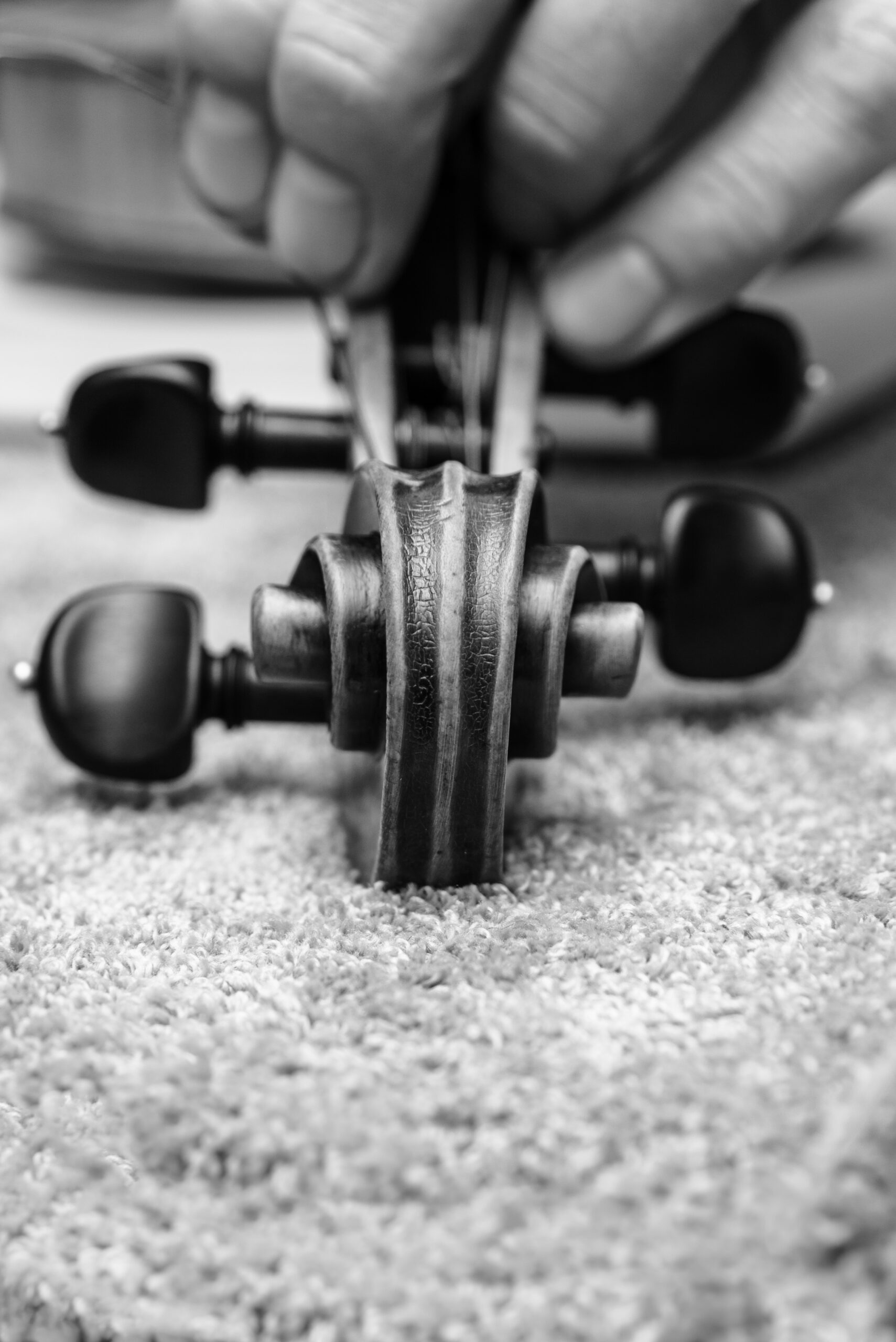 Vilniaus miesto B. Dankvarto vardo styginių instrumentų dirbtuvės ir mokykla